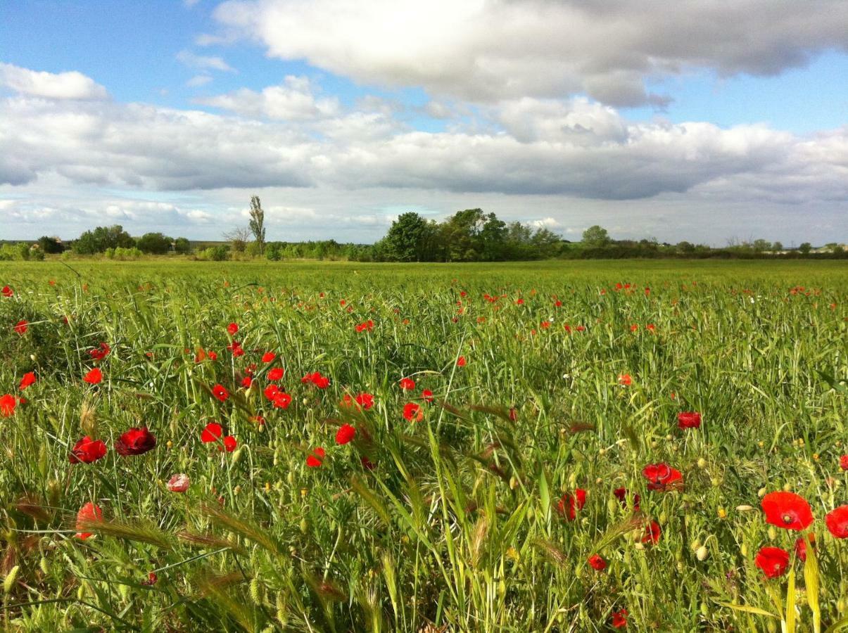 Le Petit Viala Capestang Exterior foto